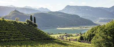 104 South Tyrolean Wine Road & Lake Caldaro