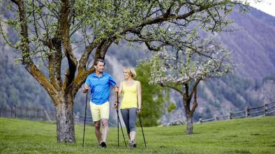 40 To the Mastaun Alm in Schnalstal
